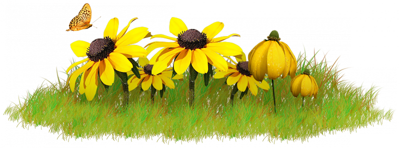 mod_article46990919_4fe2dc3281b85.png