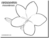 06_nicaragua_frangipani_flower_at_coloring-pages-book-for-kids-boys