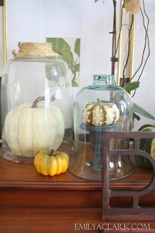 [pumpkin-under-glass-cloche%255B9%255D.jpg]