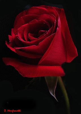 n8.jpg