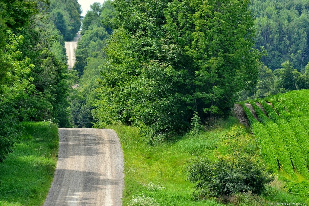 [DSC_0025-001%255B3%255D.jpg]