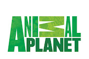 Animal Planet