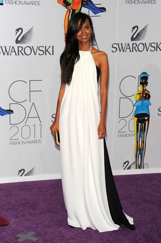 Liya Kebede attends the 2011 CFDA Fashion Awards