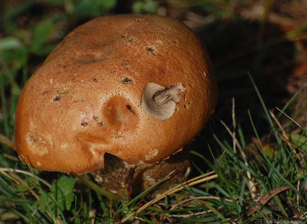 [DSC_7046%255B3%255D.jpg]