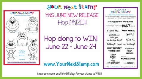 YNS June 2013 Prize Graphic