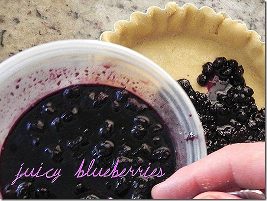 blueberries4
