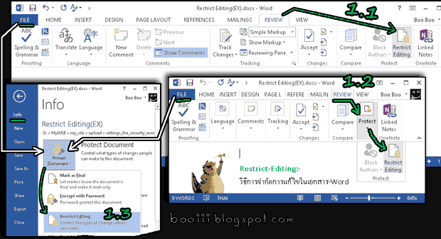 Setting Restrict Editing on Word Excel, PowerPoint document