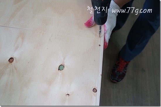 철천지DSC03398-20120615-144640