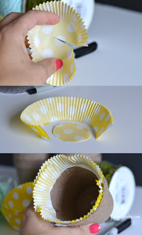 Easter Seed Starter Cup Place Cards - Poofy Cheeks