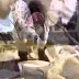 Most Funny Best of Funny cats, cute cats, Top 10 funny dogs, funny animals funniest videos10