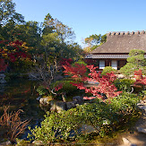 依水園,紅葉(PK3_0543,F9,16mm,K3)2014yaotomi_.jpg