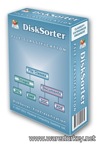 Flexense Disk Sorter Pro v6.6.24
