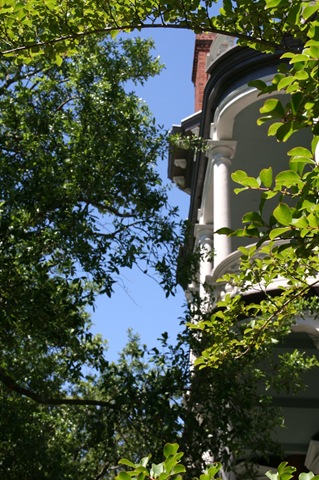 [HeadingNorth3114462.jpg]
