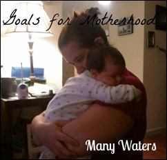 Many Waters Goals for Motherhood