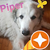 Sherri Wing Avatar
