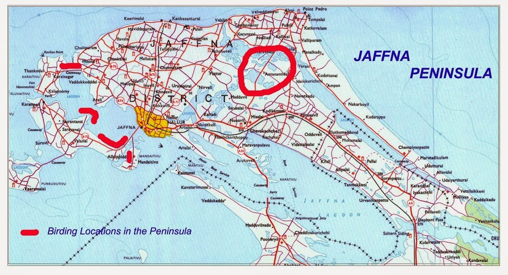 [Jaffna-Peninsula3.jpg]