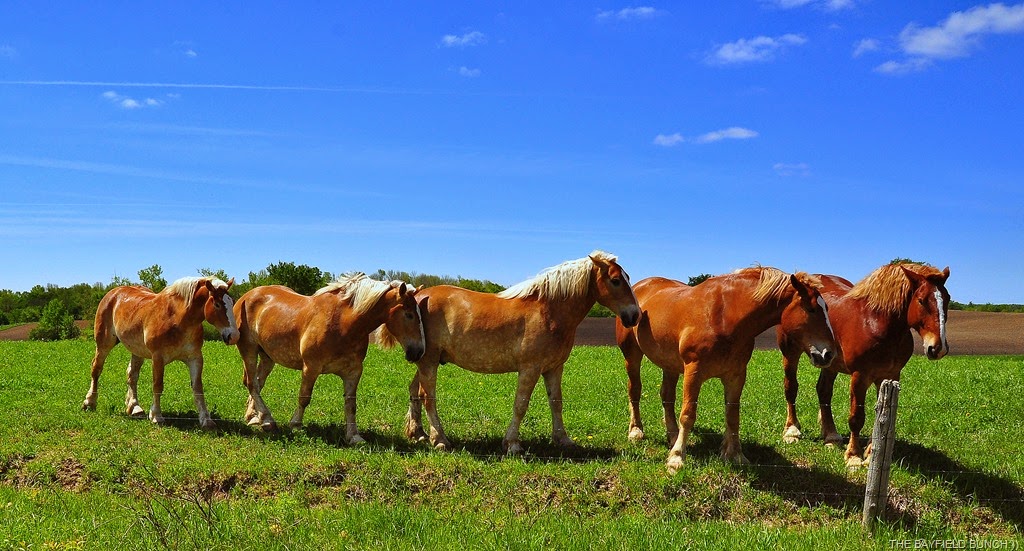 [DSC_0031%255B4%255D.jpg]