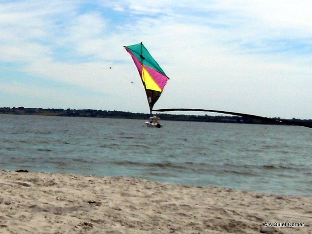 [Kite%2520Flying%255B3%255D.jpg]