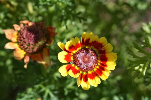 20100301 (2) (Large)