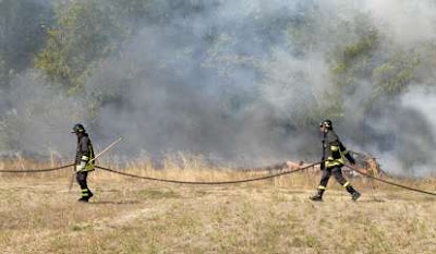 Fighting a bush fire