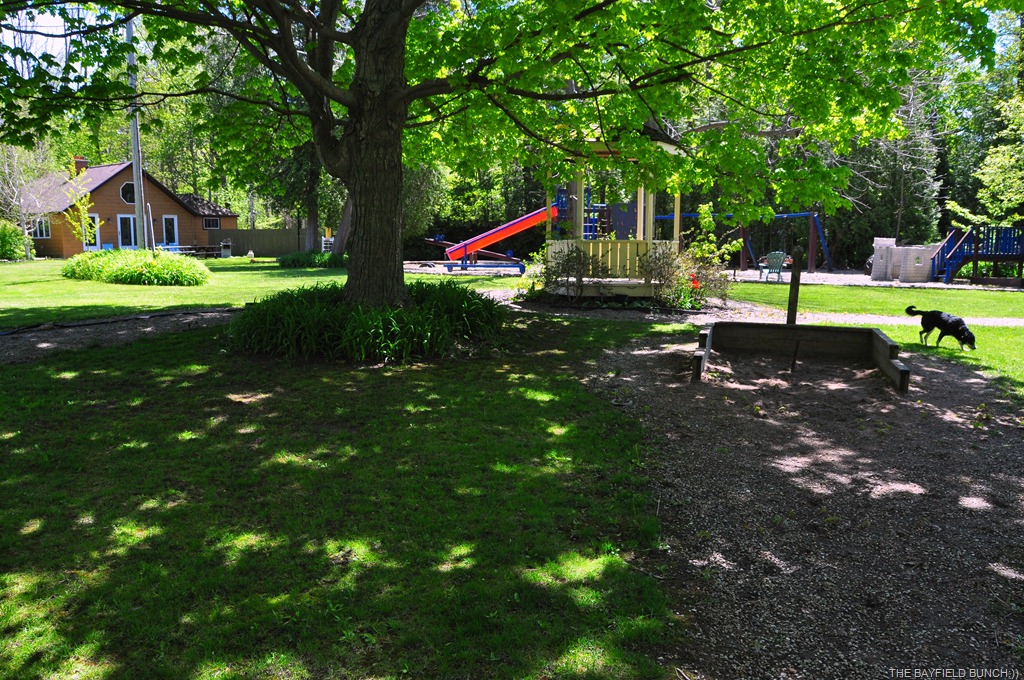 [DSC_0012%255B3%255D.jpg]