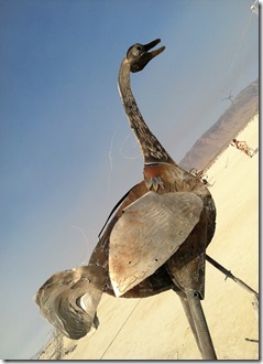IMG_5872 IMG_5872