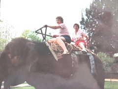 elephant ride 1987 Cypress Gardens