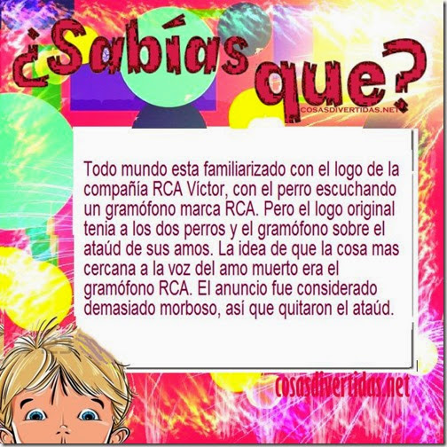 curiosidades cosasdivertidas net 5 curiosidades cosasdivertidas net 5