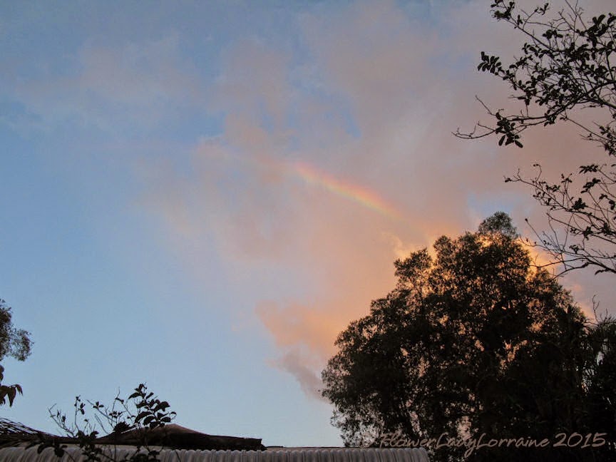 [04-12-morning-rainbow%255B4%255D.jpg]