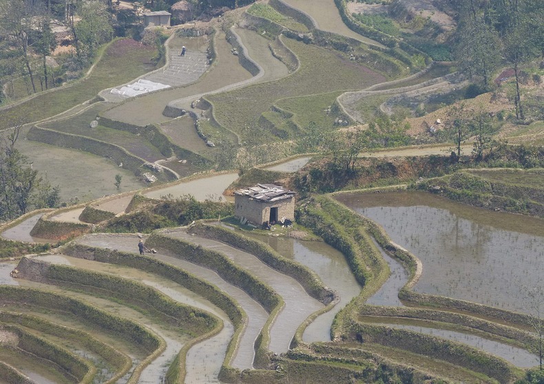yunnan-rice-terraces-2