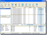 Trovare file doppi su Windows vedere lo spazio totale occupato sul disco ed eliminarli