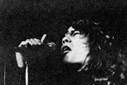 David Johansen