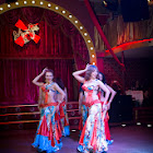 IMG_5517.jpg