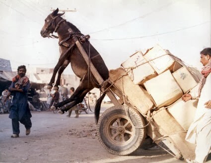 Don't-overload-your-trailer.jpg