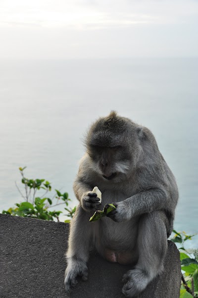 DSC_0150.jpg
