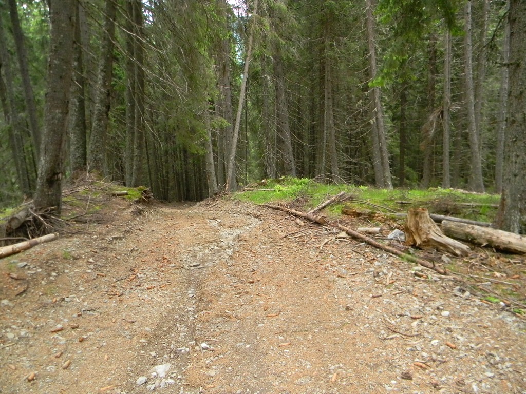 [DSCN29103.jpg]