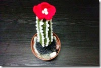 crochet cactus 1
