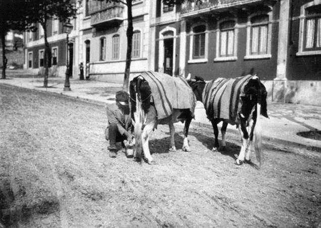 [Leiteiro%2520de%2520Vaca%25201898%255B6%255D.jpg]