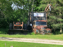 2013-06-17 Hecla Island - 089