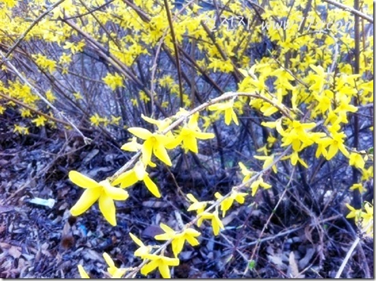 철천지original 1-20120417-173425