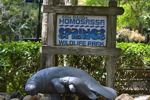 Homosassa Springs Wildlife Park