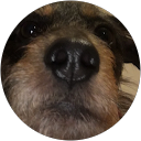 Image Google de jeremy ca