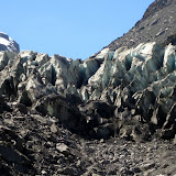 South Island - Fox Glacier