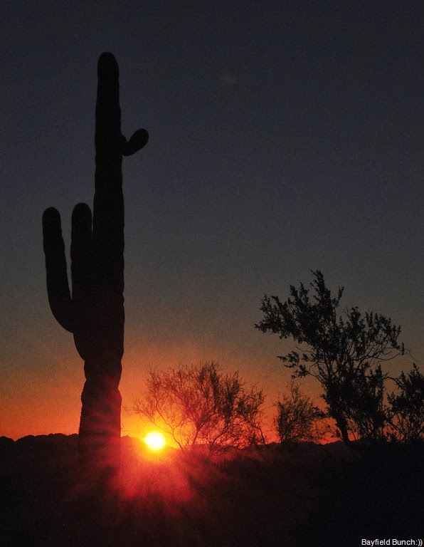 [DSC_0007%255B12%255D.jpg]