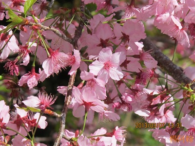 2013 恩愛農場 - 023