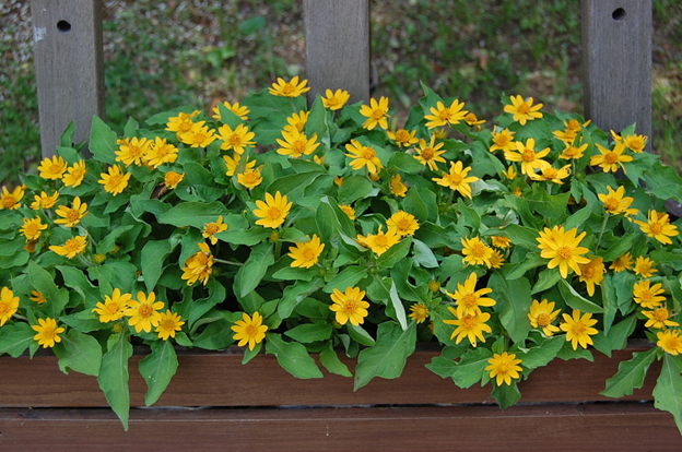 [image%255B99%255D.png]