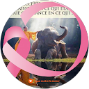 Image Google de Viviane Handt