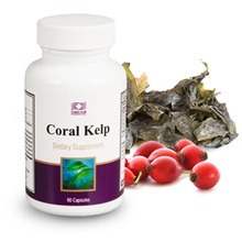 Coral Kelp / Корал Келп