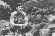Townes Van Zandt
