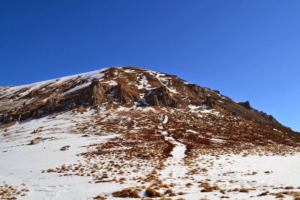 [DSC_57103.jpg]